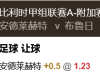 比甲冠 19:30  安德莱赫特 阵容 布鲁日