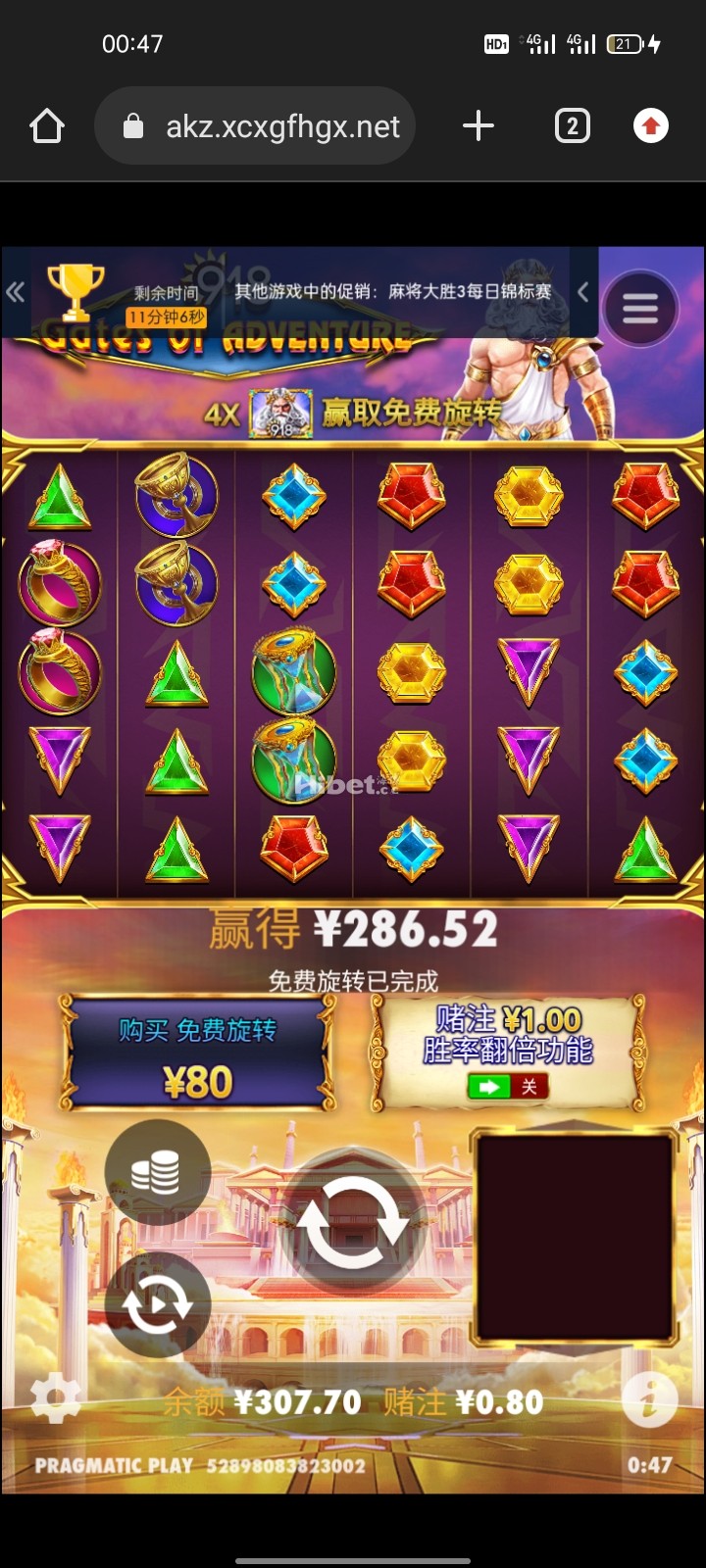 d1.jpg