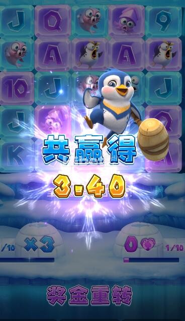 d1.jpg