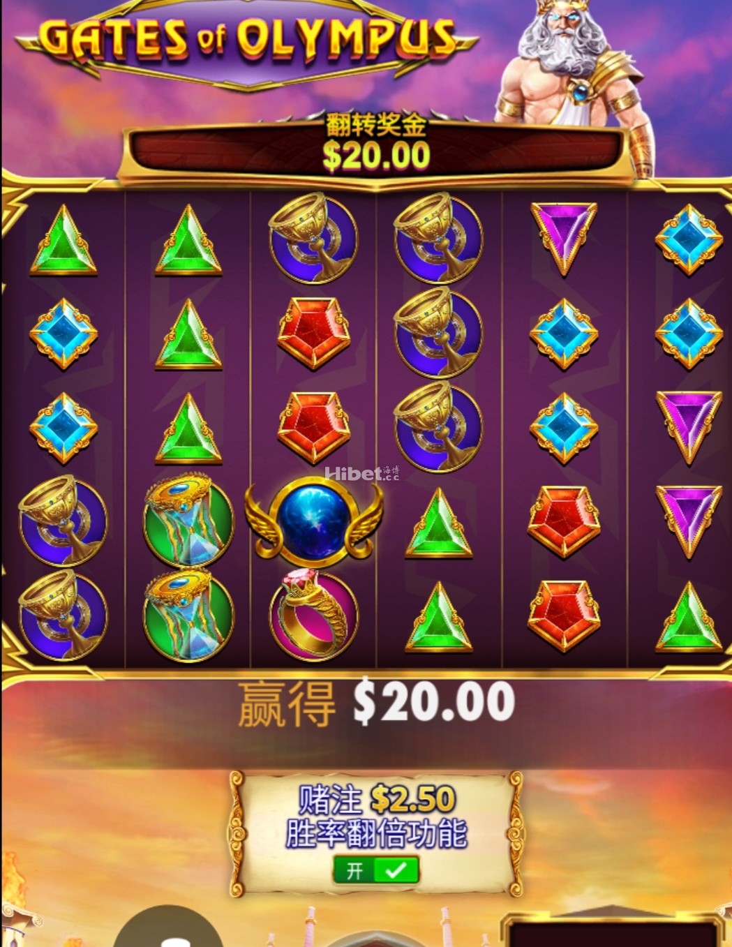 d1.jpg