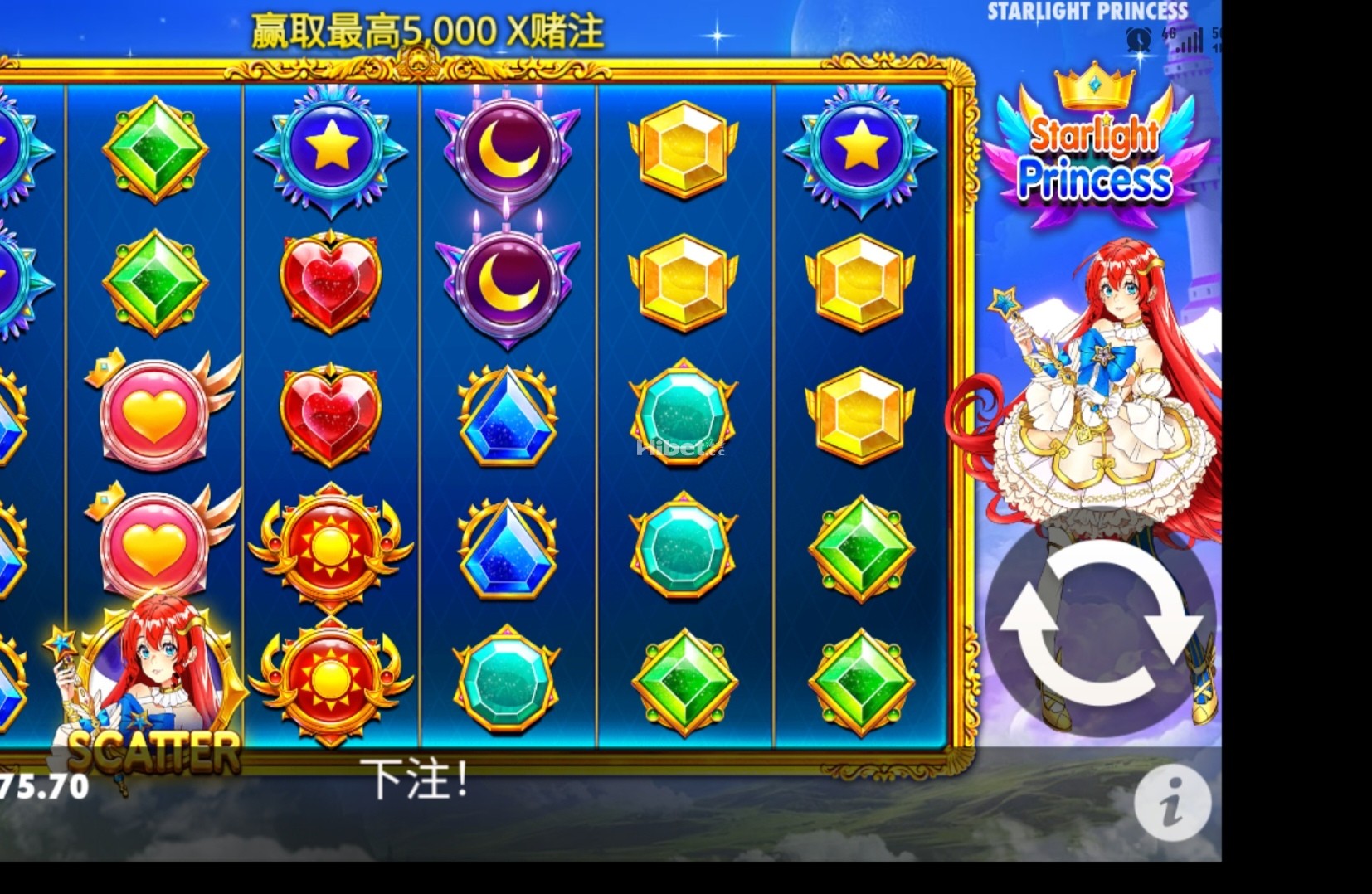 d1.jpg