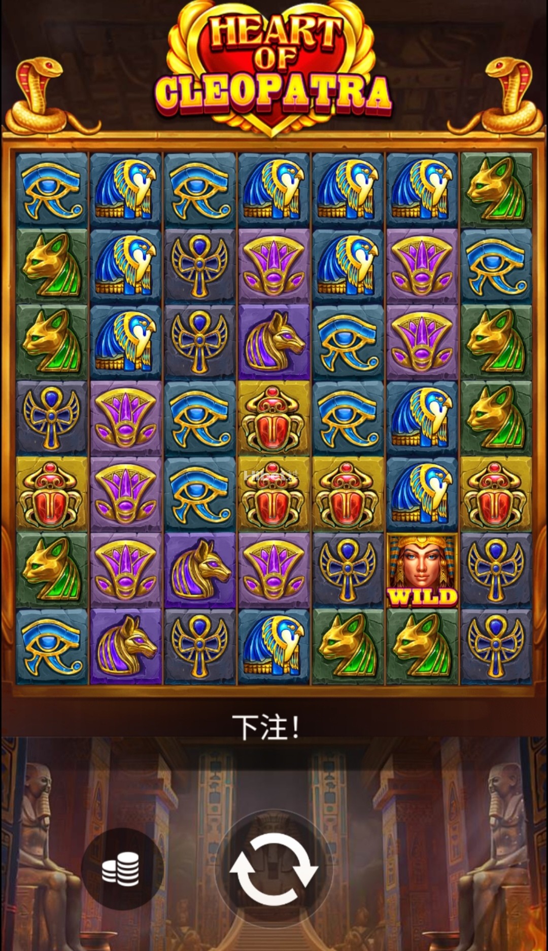 d1.jpg