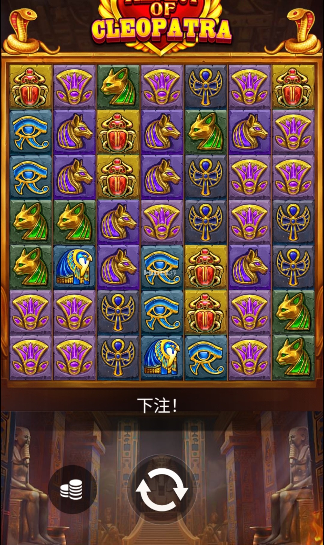 d4.jpg
