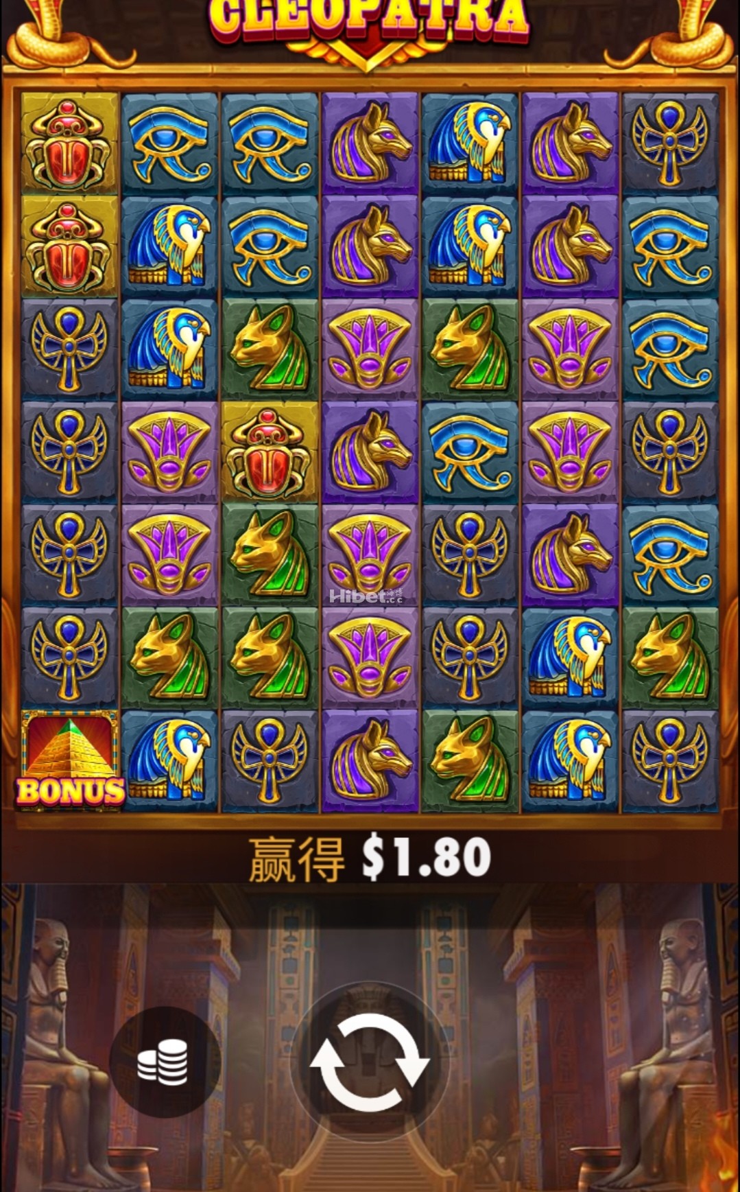 d5.jpg
