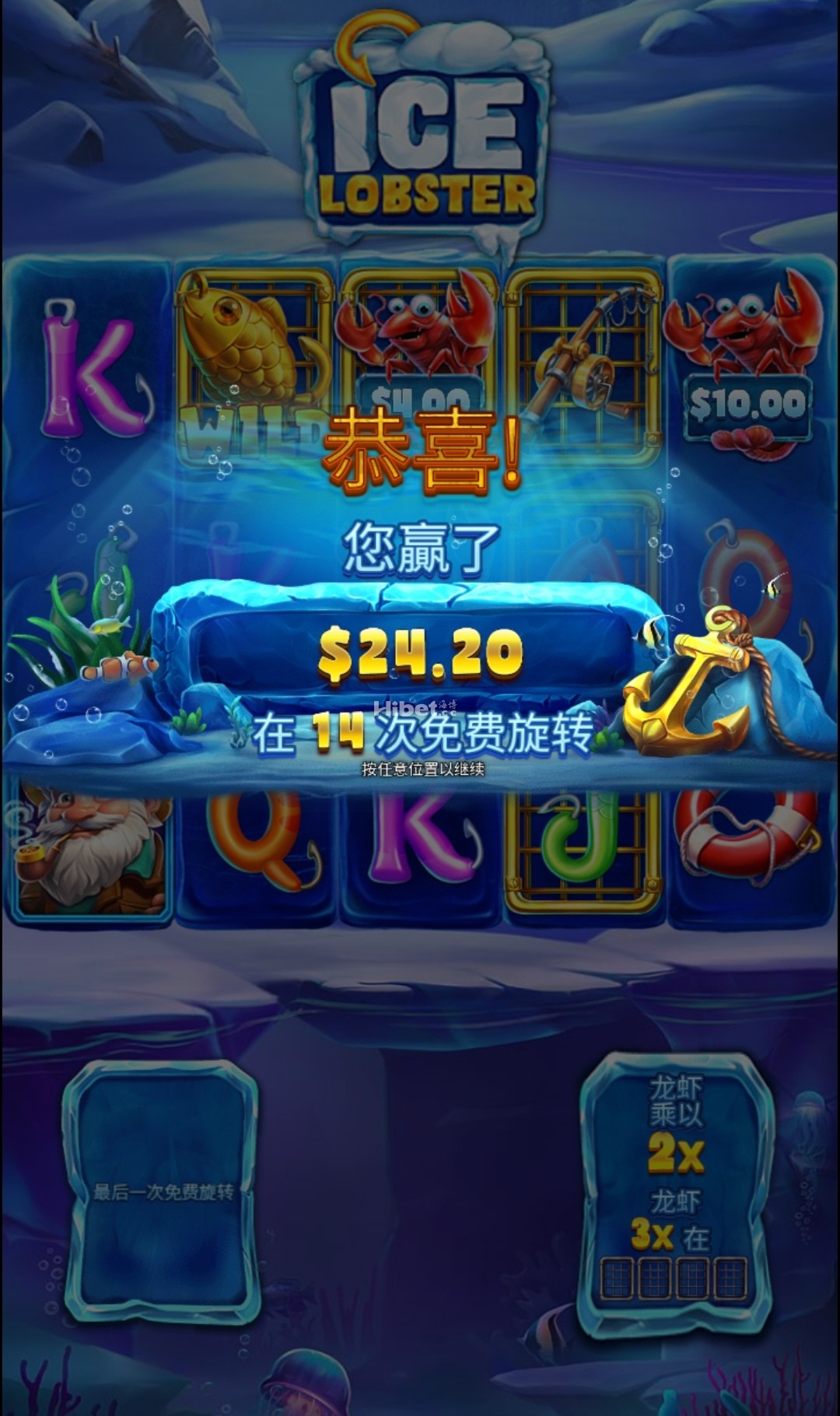 d5.jpg